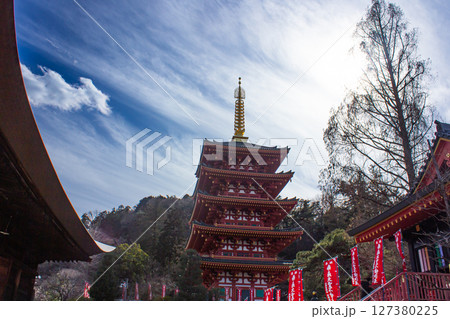 高幡不動尊の五重塔 高幡不動尊の五重塔 127380225