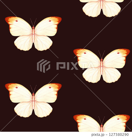 Cream and orange butterflies on a black background. Seamless watercolor pattern, hand-painted. Ideal for textiles, branding, packaging, wedding decor, stationery, and creative business projects Cream and orange butterflies on a black background. Seamless watercolor pattern, hand-painted. Ideal for textiles, branding, packaging, wedding decor, stationery, and creative business projects 127380290