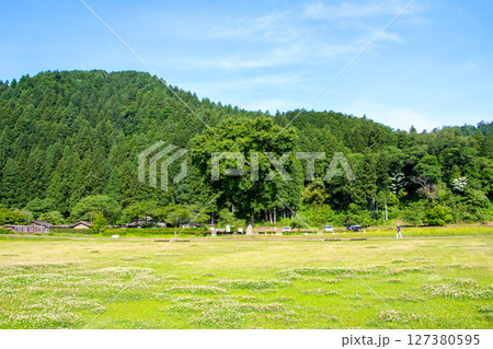 一乗谷朝倉氏遺跡 127380595