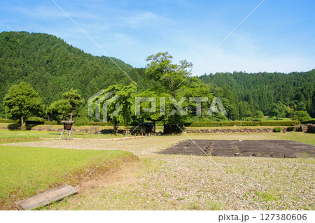 一乗谷朝倉氏遺跡 127380606