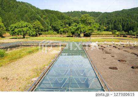 一乗谷朝倉氏遺跡 一乗谷朝倉氏遺跡 127380615