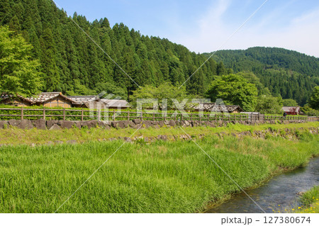 一乗谷朝倉氏遺跡 127380674