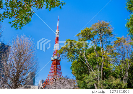 青空に映える東京タワー 新緑の芝公園から 青空に映える東京タワー 新緑の芝公園から 127381003