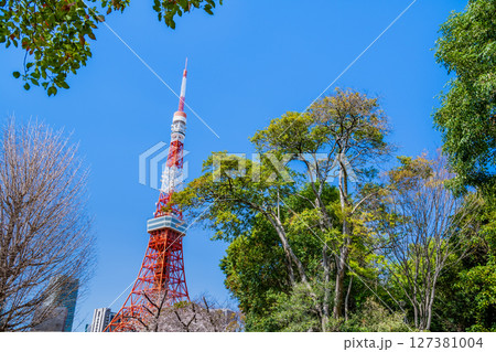 青空に映える東京タワー 新緑の芝公園から 青空に映える東京タワー 新緑の芝公園から 127381004