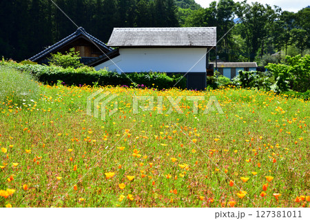 瑠璃光山 常楽寺 花の寺 境内の風景 鹿沼市 瑠璃光山 常楽寺 花の寺 境内の風景 鹿沼市 127381011