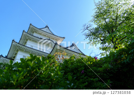 北条祭り　朝の小田原城 127381038