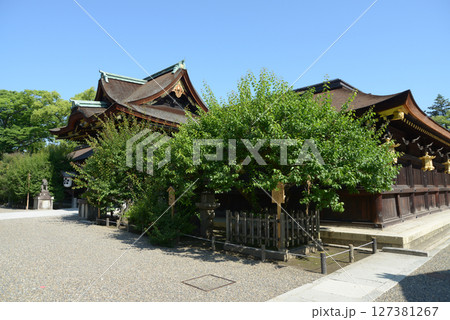 北野天満宮 三光門と東回廊 京都市上京区 北野天満宮 三光門と東回廊 京都市上京区 127381267
