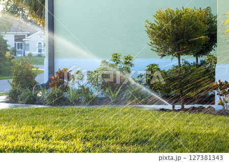 Sprinkler watering lawn grass during dry season 127381343