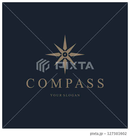 compass icon isolated on background.modern flat compass pictogram,business,marketing,internet concept.trendy simple vector symbol for websitedesign or button to mobile app.logo illustration. 127381602