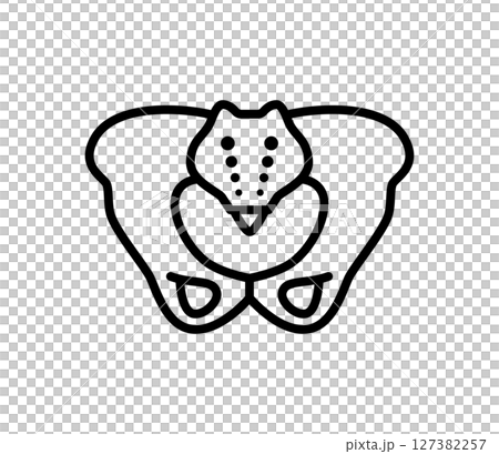 シンプルな骨盤のアイコンイラスト　ベクター 127382257