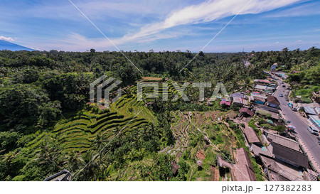 バリ島のウブドにあるテガラランのライステラス風景 127382283