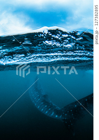 青空のもとに逆転劇 127382895