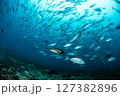 激流の先に 127382896