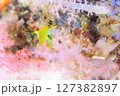 ピンクの森で生きる 127382897