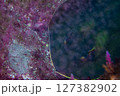 紫草原に眠る 127382902