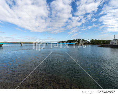 浜名湖と県道の橋 127382957