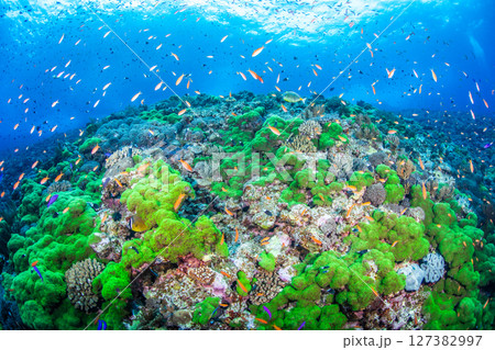 あの頃の景色 127382997