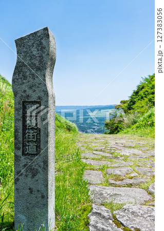 豊後街道・二重峠石畳の道　周辺絶景スポット(新緑)阿蘇市 127383056
