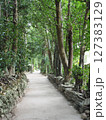 緑に囲まれた道 127383129