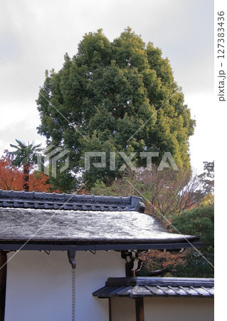 京都石庭で有名な龍安寺と隠れた紅葉の名所鏡容池 127383436