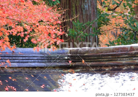 京都石庭で有名な龍安寺と隠れた紅葉の名所鏡容池 127383437