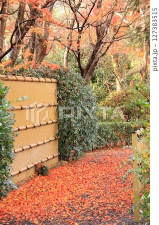 京都石庭で有名な龍安寺と隠れた紅葉の名所鏡容池 京都石庭で有名な龍安寺と隠れた紅葉の名所鏡容池 127383515