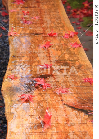 京都石庭で有名な龍安寺と隠れた紅葉の名所鏡容池 京都石庭で有名な龍安寺と隠れた紅葉の名所鏡容池 127383540
