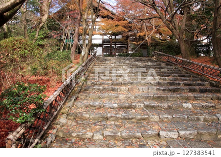 京都石庭で有名な龍安寺と隠れた紅葉の名所鏡容池 京都石庭で有名な龍安寺と隠れた紅葉の名所鏡容池 127383541