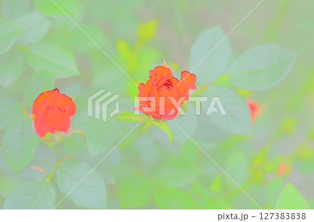 フォトイラスト 127383838