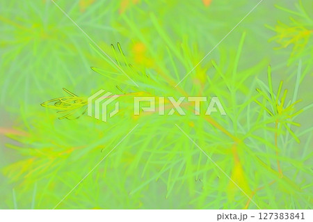 フォトイラスト 127383841