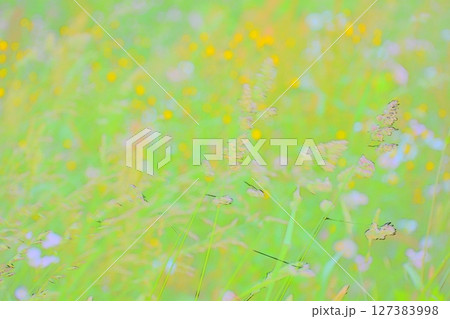 フォトイラスト フォトイラスト 127383998