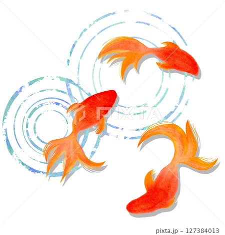 金魚　夏　水彩　和風　イラスト 127384013