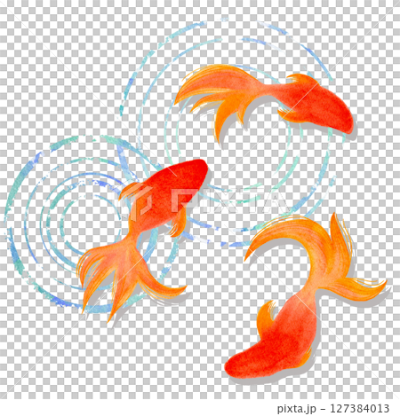 金魚　夏　水彩　和風　イラスト 127384013