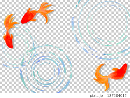 金魚　夏　水彩　和風　イラスト 127384015