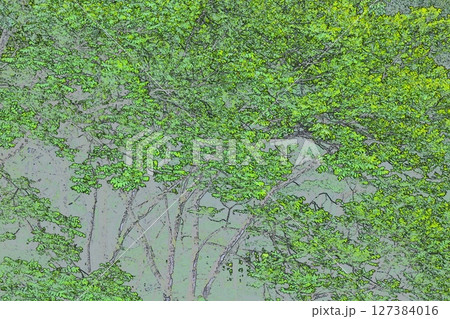 フォトイラスト 127384016