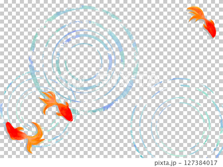 金魚　夏　水彩　和風　イラスト 127384017
