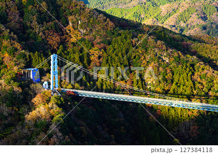紅葉に染まる山と竜神大吊橋 紅葉に染まる山と竜神大吊橋 127384118