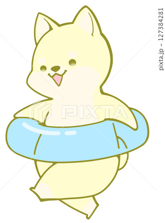 うきわをもって遊びに行く柴犬(黄色) 127384281