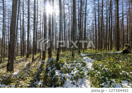 冬の蓼科山と登山道 冬の蓼科山と登山道 127384481