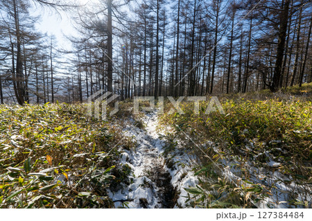 冬の蓼科山と登山道 127384484