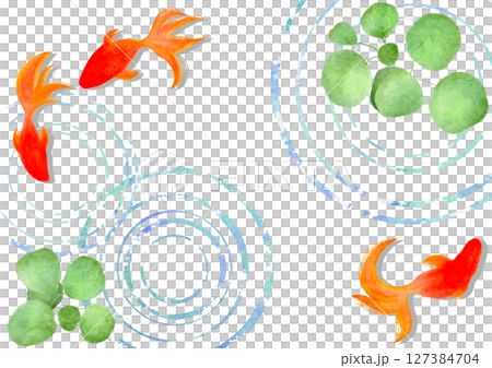 金魚　夏　水彩　和風　イラスト 127384704