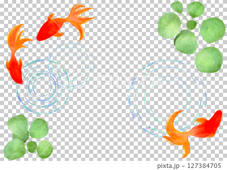 Goldfish Summer Watercolor Japanese style illustration 127384705