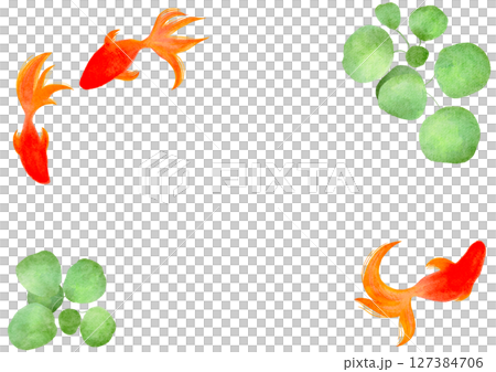 金魚　夏　水彩　和風　イラスト 127384706
