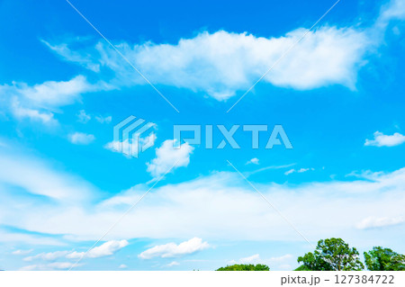青空と雲と木立 127384722