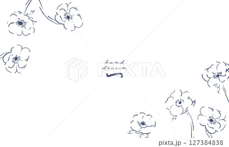 手描きのアネモネイラスト。草木と花の線画ベクターイラスト。今風のおしゃれな線画草木素材。 127384838