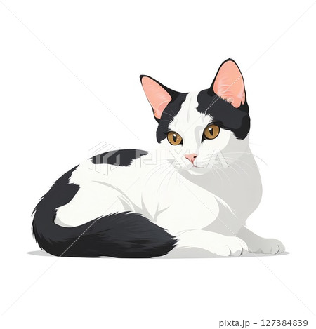 寂しい表情をする日本猫 127384839