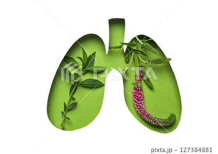 Lungs artfully shown with green plants, isolated on white 127384881