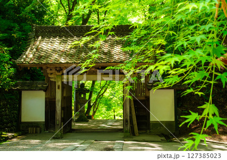 山門の新緑 127385023