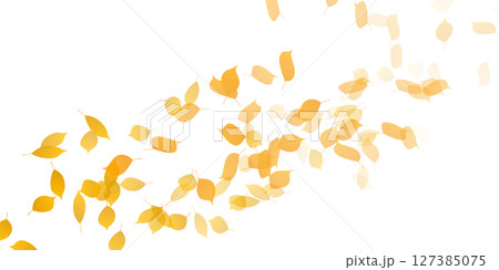 紅葉　もみじ　秋　背景	 127385075