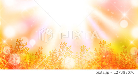 紅葉　もみじ　秋　背景	 127385076